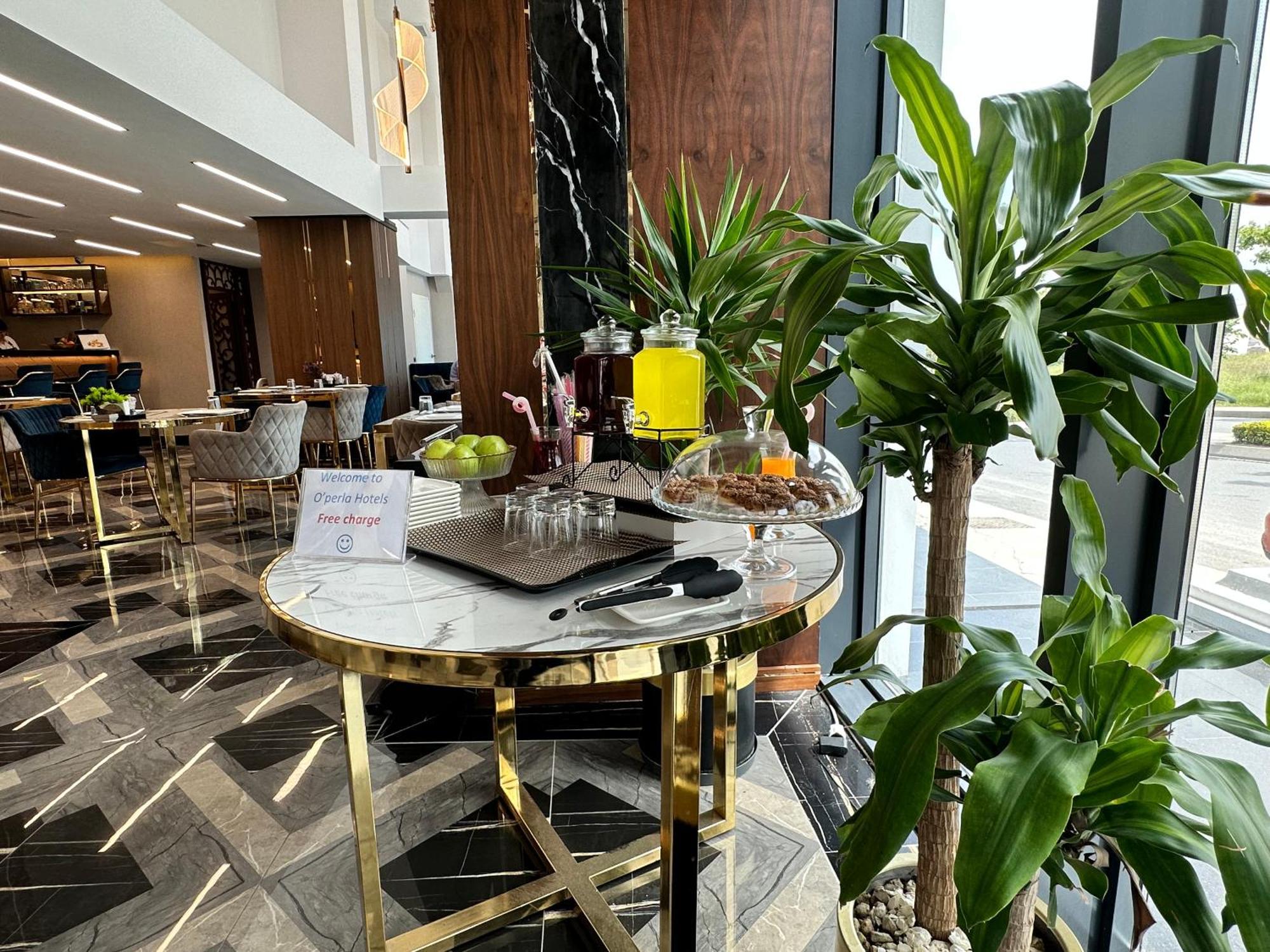 Trademark Collection By Wyndham Operla Airport Arnavutkoy